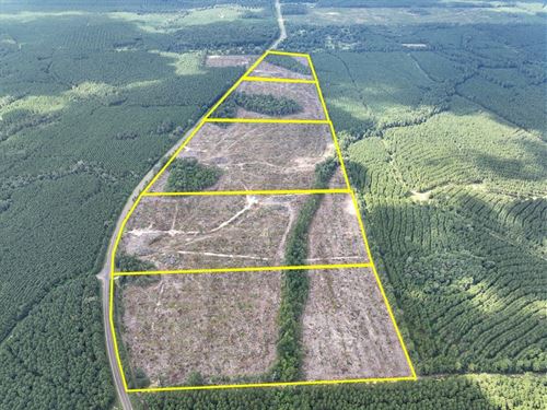 30 Acres, T-1, FM 92, 287044-045 : Spurger : Tyler County : Texas