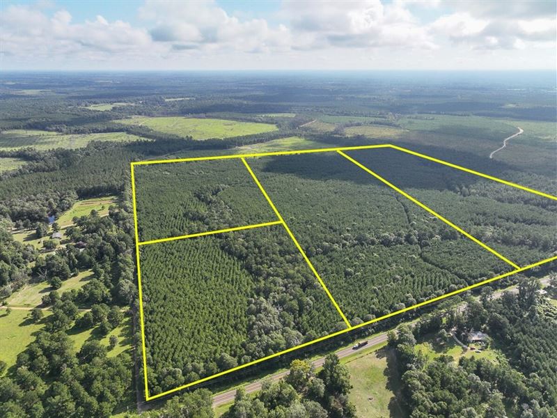 51, T-5, Fm 1013, 287052 : Mount Union : Jasper County : Texas