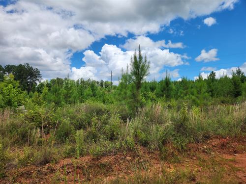 Camp Hill 2 : Camp Hill : Tallapoosa County : Alabama