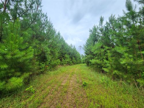 Camp Hill 10 : Camp Hill : Tallapoosa County : Alabama