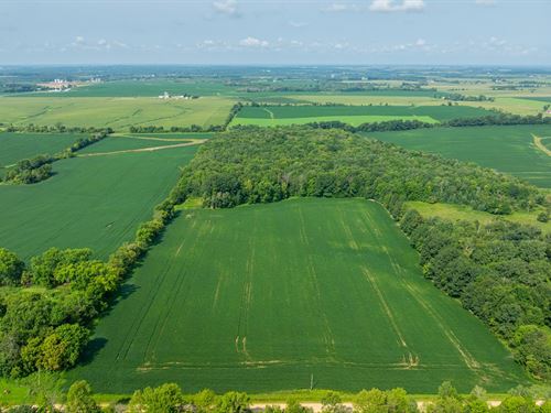 37 Acres St. Croix County : Glenwood City : Saint Croix County : Wisconsin