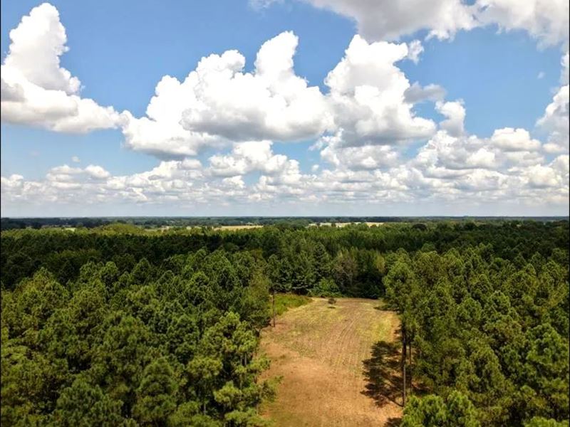 155 Acres with A Home in Panola Cou : Como : Panola County : Mississippi