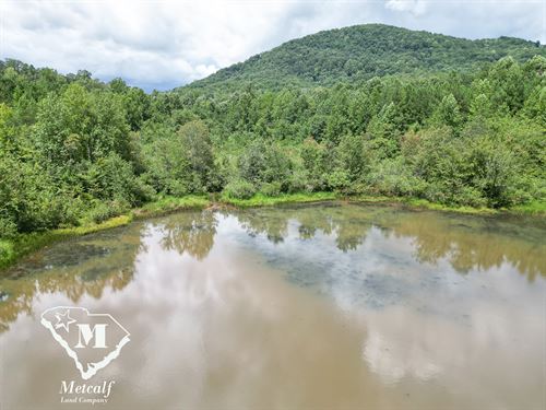 Finley's Lake 14 +/- Acres : Pickens : South Carolina
