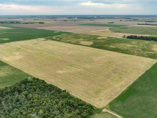 Stafford County Dryland 156 : Stafford : Kansas