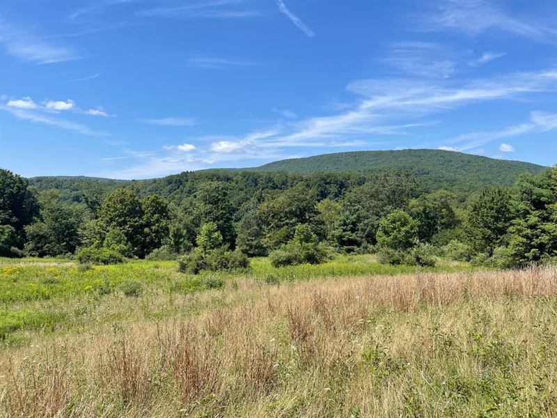 Bradford County, Stevenson Hill Rd : New Albany : Bradford County : Pennsylvania
