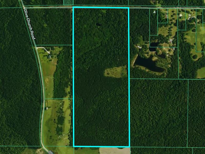 92 Acres in Pearl River County : Lumberton : Pearl River County : Mississippi