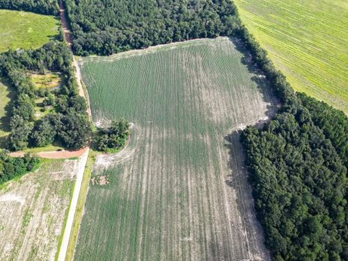 Twin Forks, Tract 1 : Statesboro : Bulloch County : Georgia