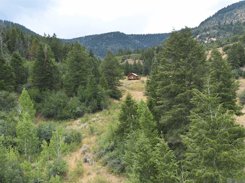 Crystal Spring Mountain Cabin : Rangely : Garfield County : Colorado