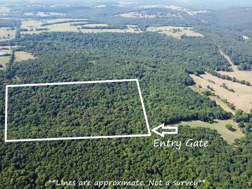 Onda Mountain 30 : West Fork : Washington County : Arkansas