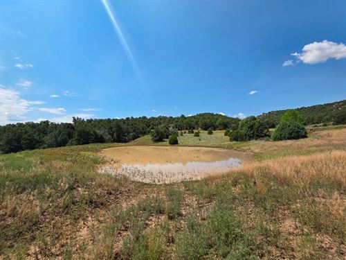 109 Acres Picketwire Ranch, Conn : Boncarbo : Las Animas County : Colorado