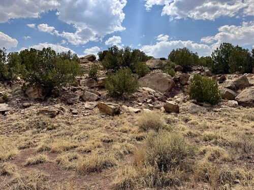 Cienega Amarilla Ranch : Quemado : Catron County : New Mexico