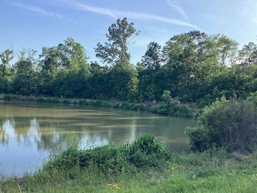 Lumas Road Tract, Beauregard Parish : Deridder : Beauregard Parish : Louisiana