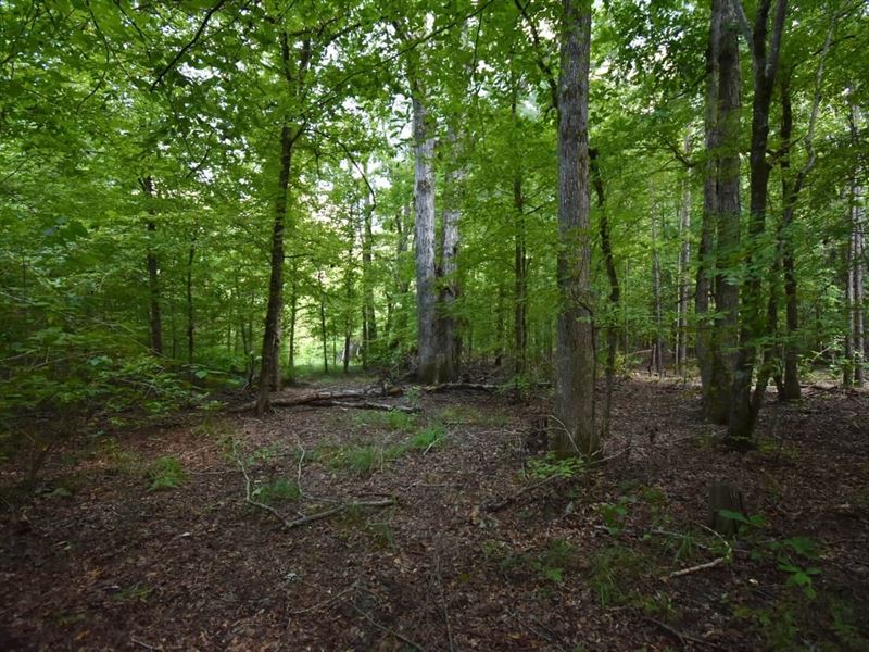 Kelly Bayou North : Doddridge : Miller County : Arkansas