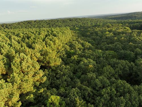 380 Ac in Crawford County Arkansas : Mulberry : Crawford County : Arkansas