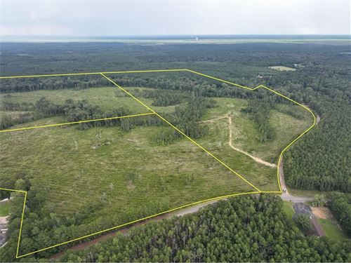 79 Acres, T-3, Kelley Road, 3050 : Trout : Lasalle Parish : Louisiana