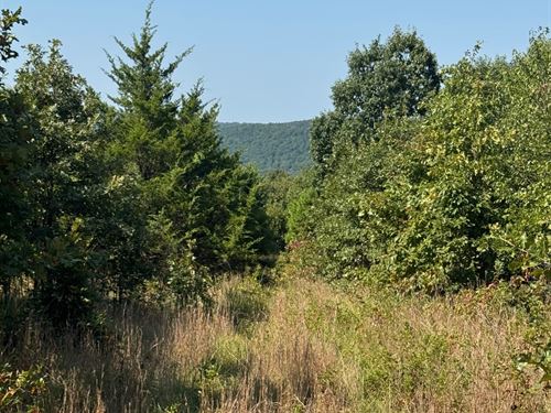 80 Acres in Edgemont, Arkansas : Edgemont : Cleburne County : Arkansas