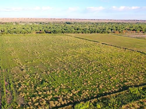 G And A Farm : Las Nutrias : Socorro County : New Mexico