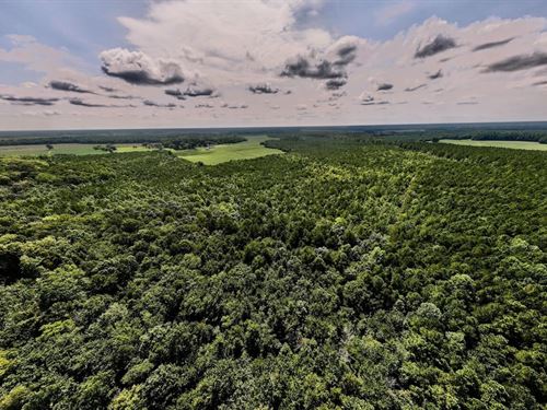 149 Acres of Recr : Corapeake : Gates County : North Carolina