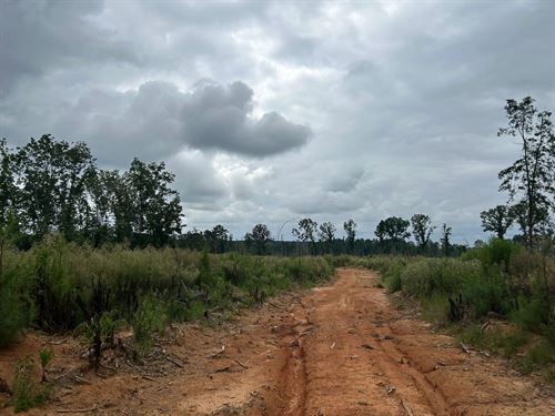 173.7 Acres In Calhoun County, MS : Bruce : Calhoun County : Mississippi