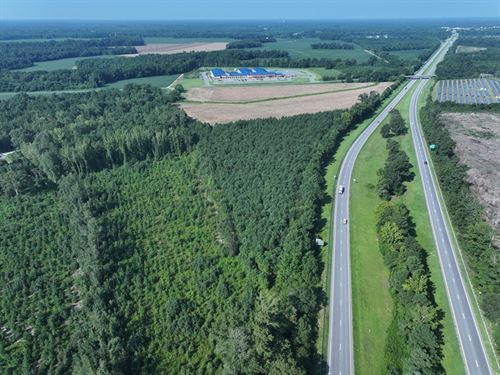 Farm & Timber Land for Sale : Laurinburg : Scotland County : North Carolina