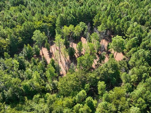 Itawamba County, Scott Senter Road : Fulton : Itawamba County : Mississippi