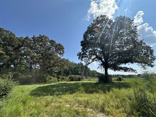 Old Ranch Road Tract : Escambia : Alabama