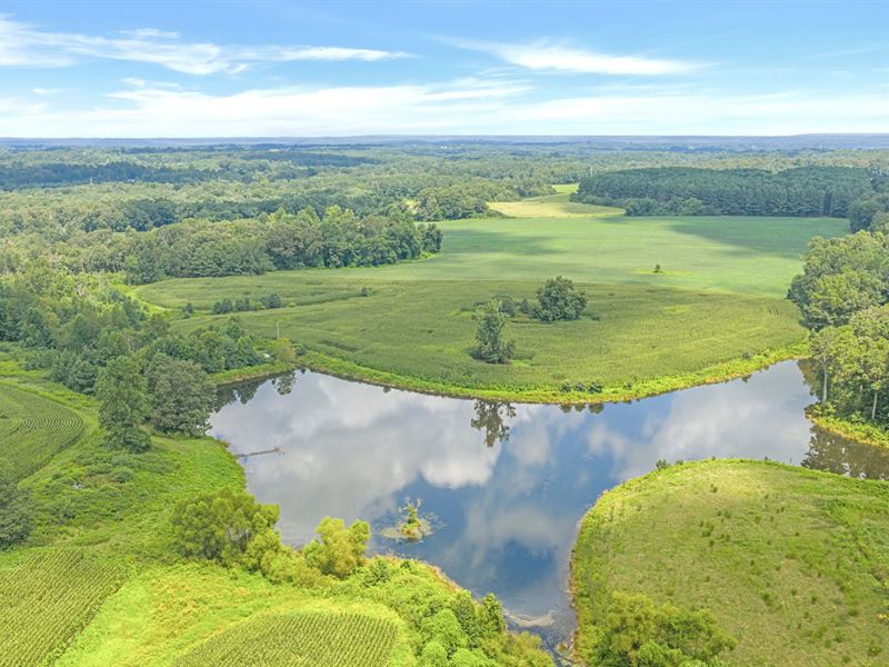 Ider 63 Acre Investment Land : Ider : DeKalb County : Alabama