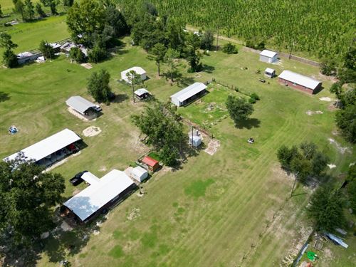 36.8 Acre Multi-Dwelling Farm : Live Oak : Suwannee County : Florida