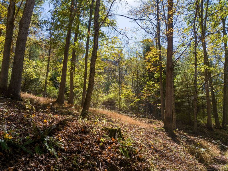 15.09 Acres in Greenbrier County WV : Renick : Greenbrier County : West Virginia