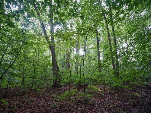 Duncanson Rd Lot 1 : Sardinia : Highland County : Ohio