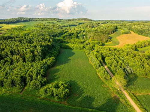 Premier 40-Acre Whitetail Retreat : Mondovi : Buffalo County : Wisconsin
