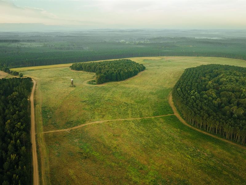 457 Acres in Choctaw County, MS : McCool : Choctaw County : Mississippi