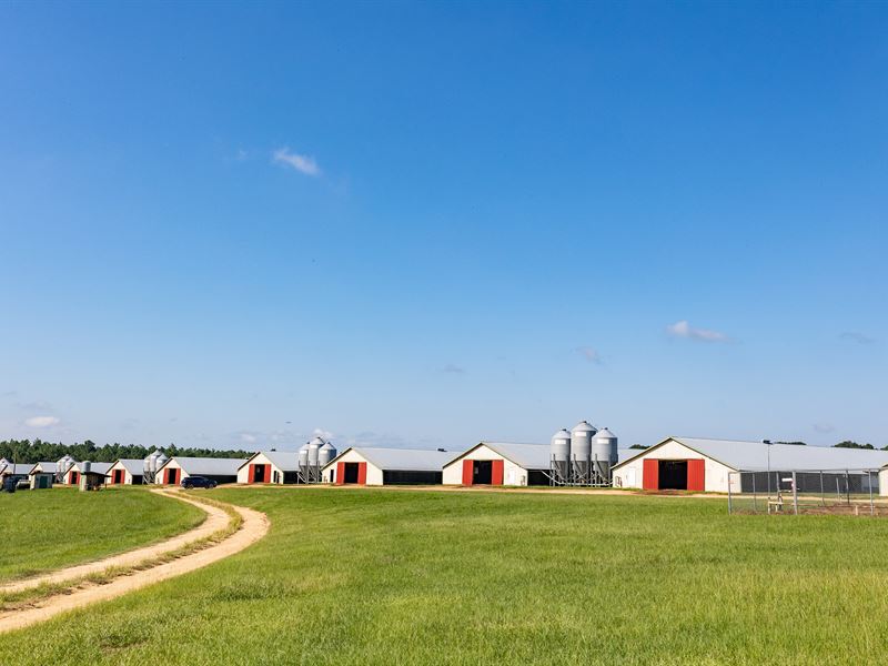 12 House Broiler Farm Crisp Co., GA : Arabi : Crisp County : Georgia