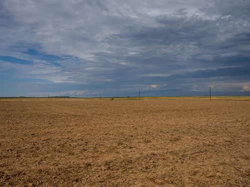 High Plains Cropland : Nekoma : Pawnee County : Kansas