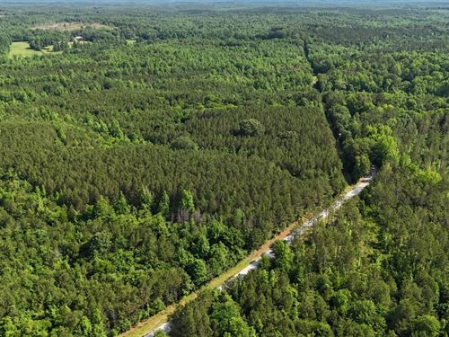 Itawamba County, Scott Senter Road : Fulton : Itawamba County : Mississippi