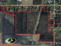 55 Acres / 100 N 600 E Knox : Knox : Starke County : Indiana