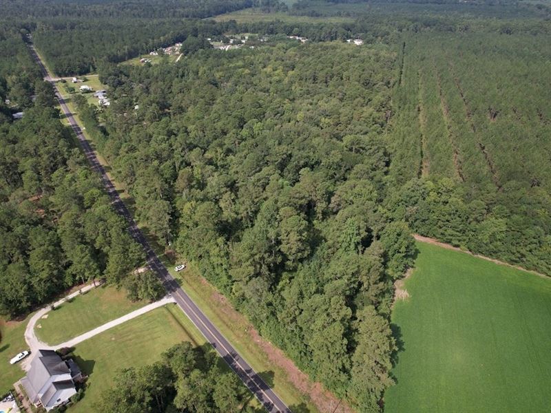 32.22 Acres of Timber and Recreatio : Hallsboro : Columbus County : North Carolina