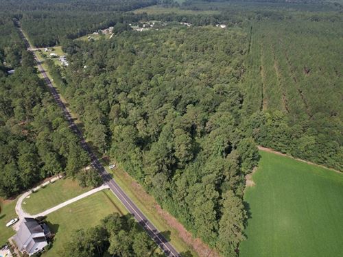 32.22 Acres of Timber And Recreatio : Hallsboro : Columbus County : North Carolina