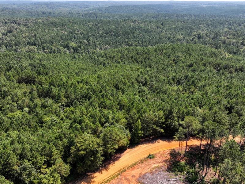 Itawamba County, Scott Senter Road : Fulton : Itawamba County : Mississippi