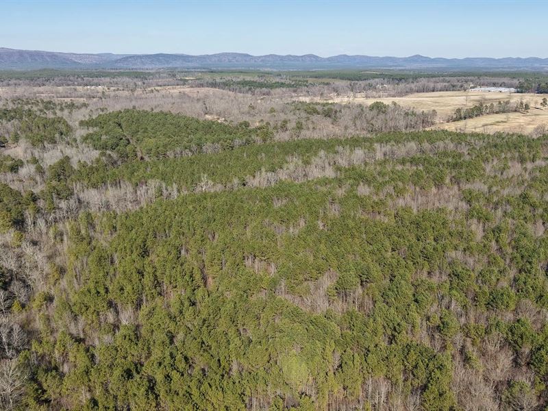 115 Acres in Howard County, AR : Newhope : Howard County : Arkansas