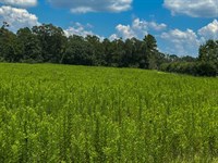 Washington Parish, La, Prime Locat : Franklinton : Washington Parish : Louisiana