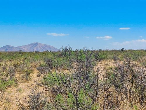 Edgy El Paso Dreams : Salt Flat : Hudspeth County : Texas