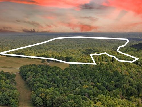 102.08 Acres in Edmonton, Kentucky : Edmonton : Metcalfe County : Kentucky