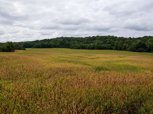 96 Ac in Ohio County, Ky-Blend : Olaton : Ohio County : Kentucky