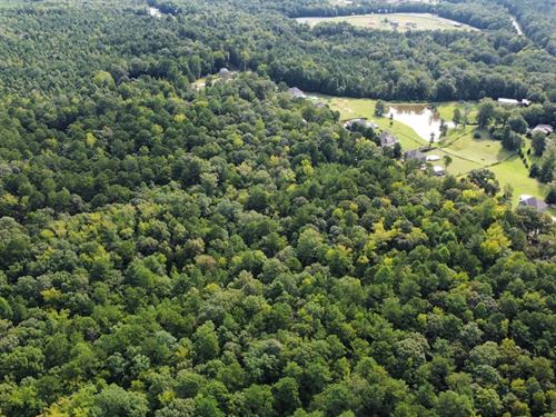 25 Acres Harris County, GA : Cataula : Harris County : Georgia