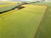 Class A Tillable Tract For Sale Edg : Chrisman : Edgar County : Illinois