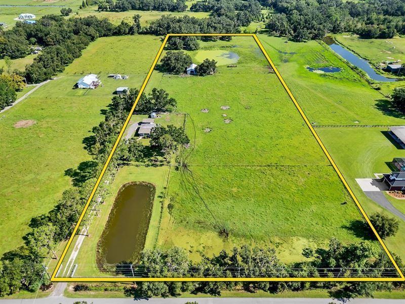 Peaceful 12 AC and Charming Cottage : Plant City : Hillsborough County : Florida