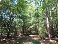 Diverse Habitat, Lexington County : Leesville : Lexington County : South Carolina