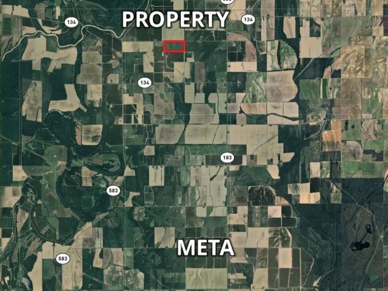 La, Richland 80 Acres : Oak Ridge : Richland Parish : Louisiana