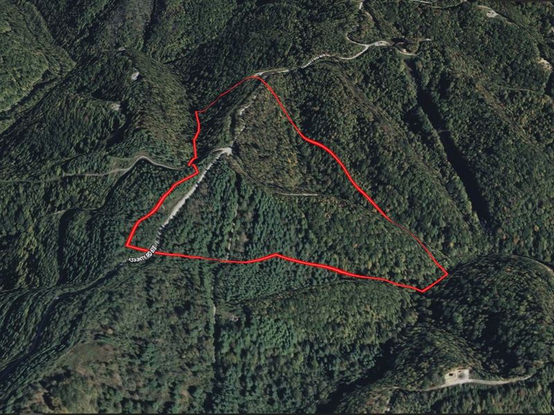 58.109 Acres in Russell County VA : Cleveland : Russell County : Virginia